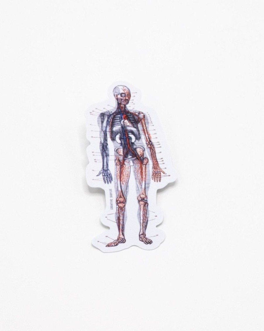 Stationery Cognitive Surplus | Anatomy Sticker