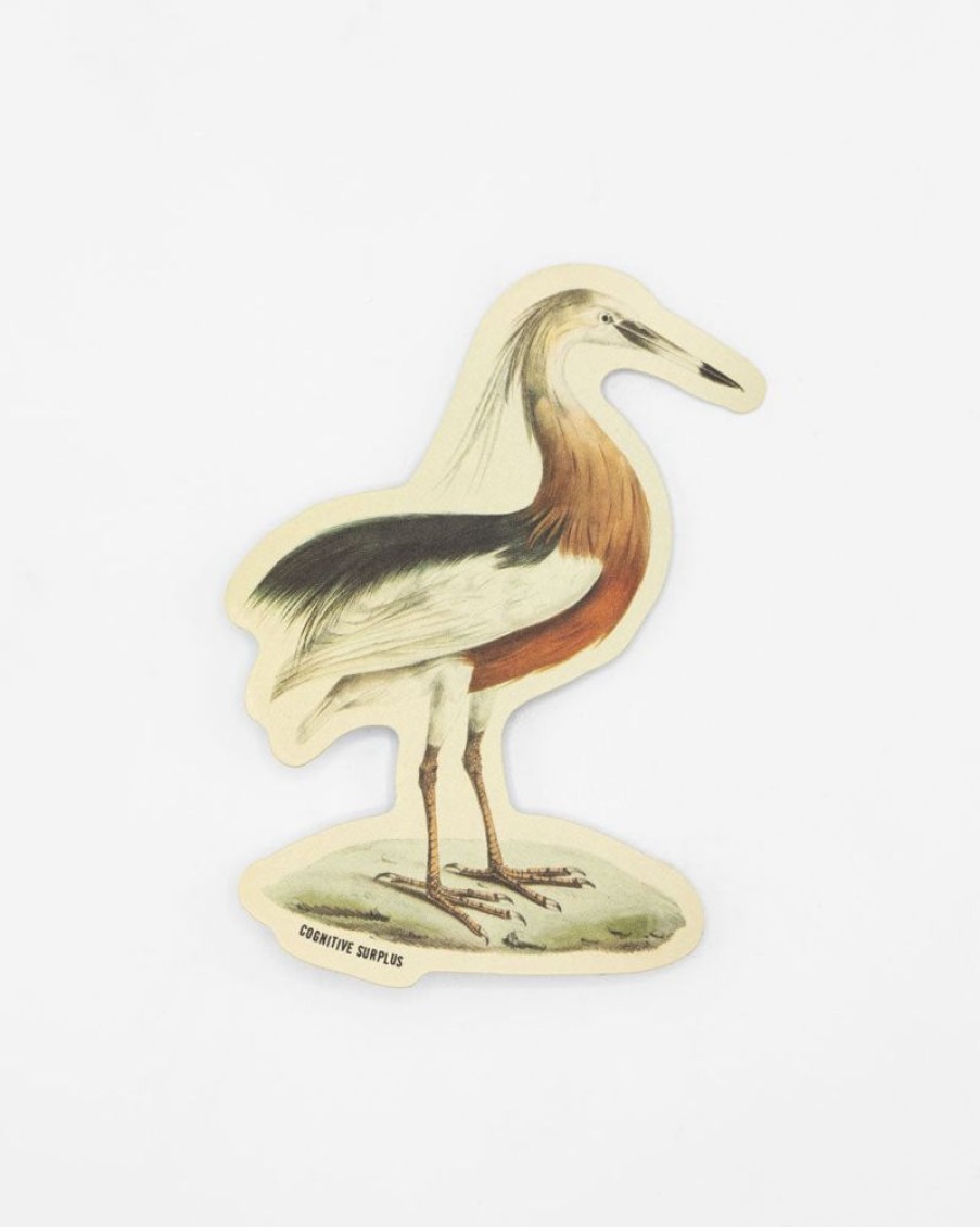 Stationery Cognitive Surplus | Javan Pond Heron Sticker