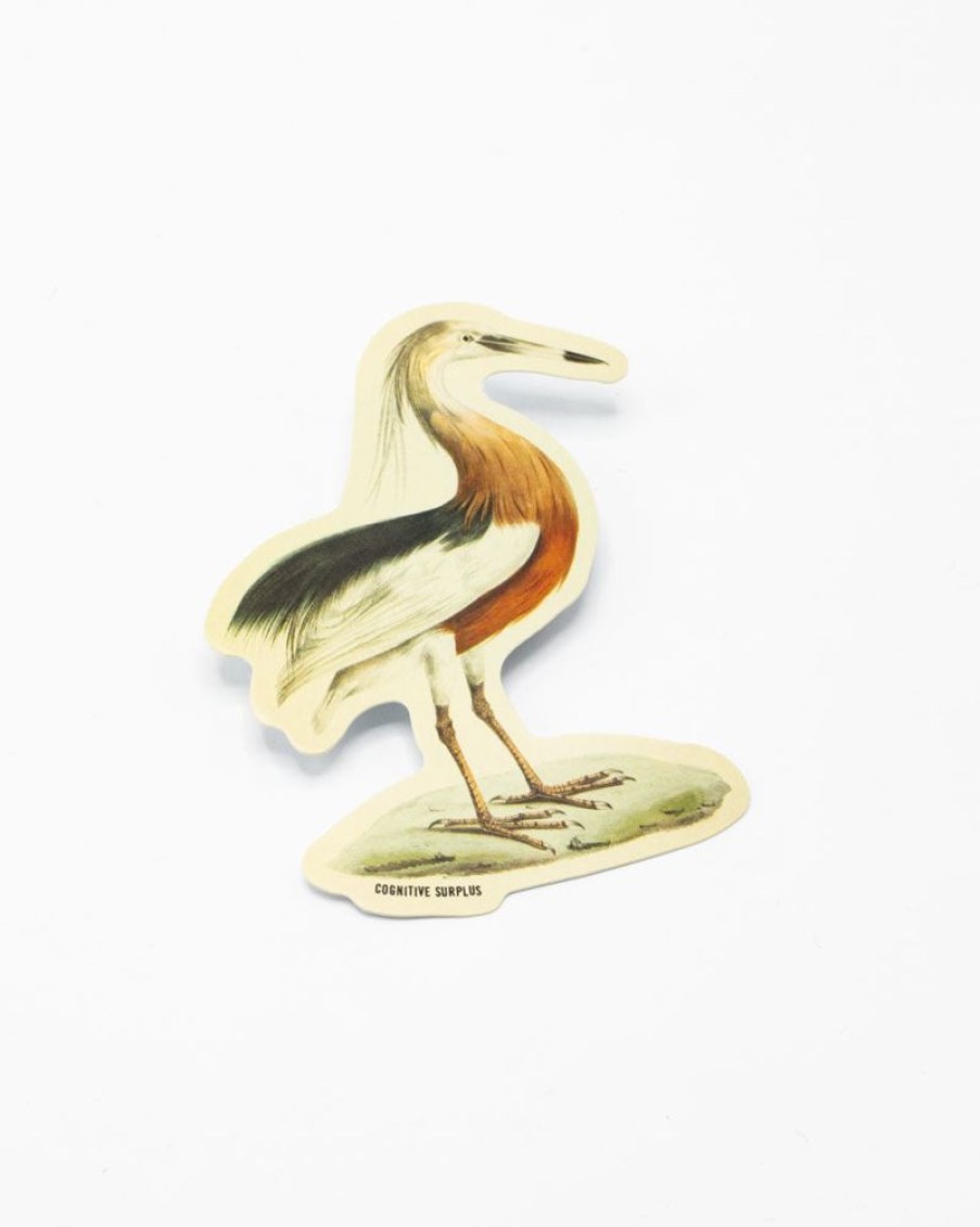 Stationery Cognitive Surplus | Javan Pond Heron Sticker