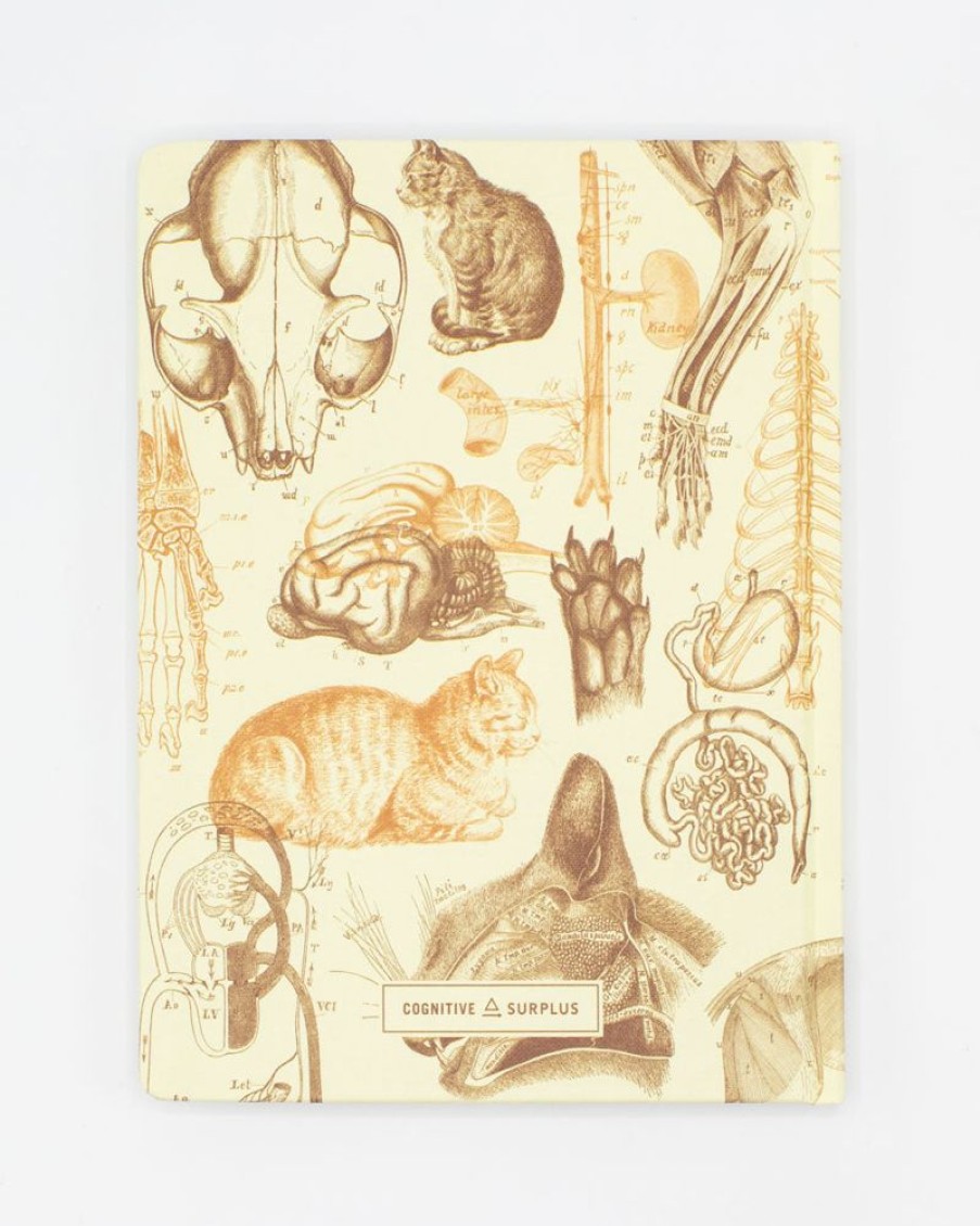 Notebooks Cognitive Surplus | Veterinarian Notebook - Feline Cat Hardcover | Vet Journal