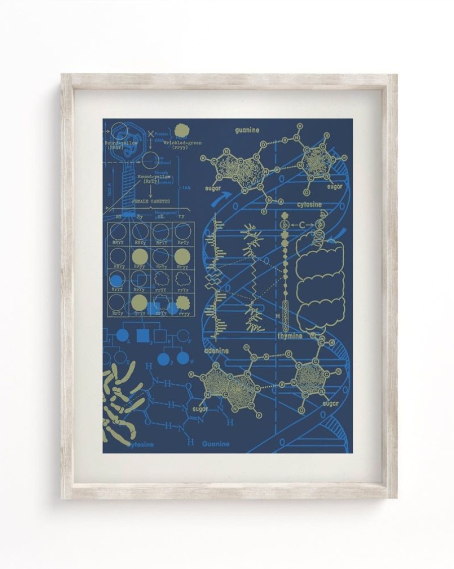 Wall Art Cognitive Surplus | Genetics: Dna Museum Print | Pharmacist Gift