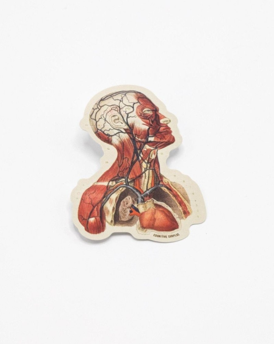 Stationery Cognitive Surplus | Head Anatomy Sticker