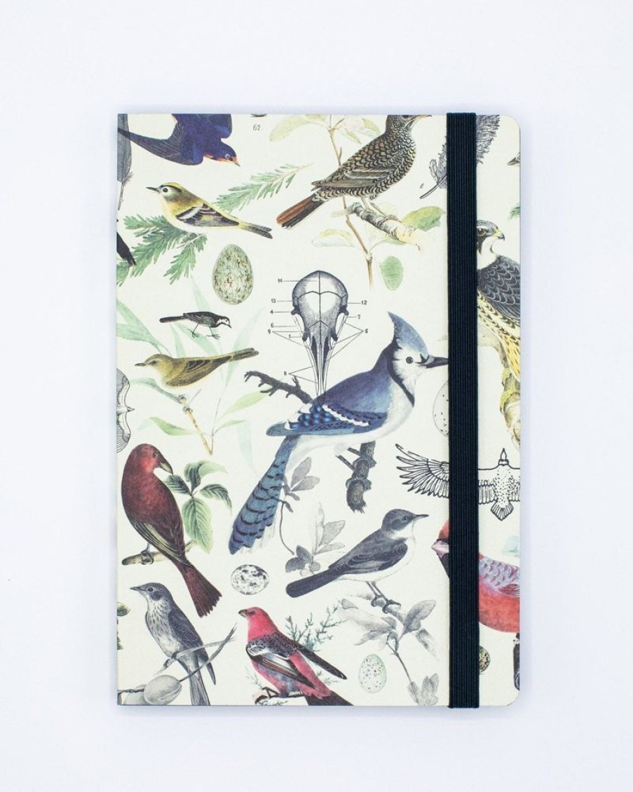 Notebooks Cognitive Surplus | Birds & Feathers A5 Notebook - Dotted Lines - Ornithology | Cognitive Surplus