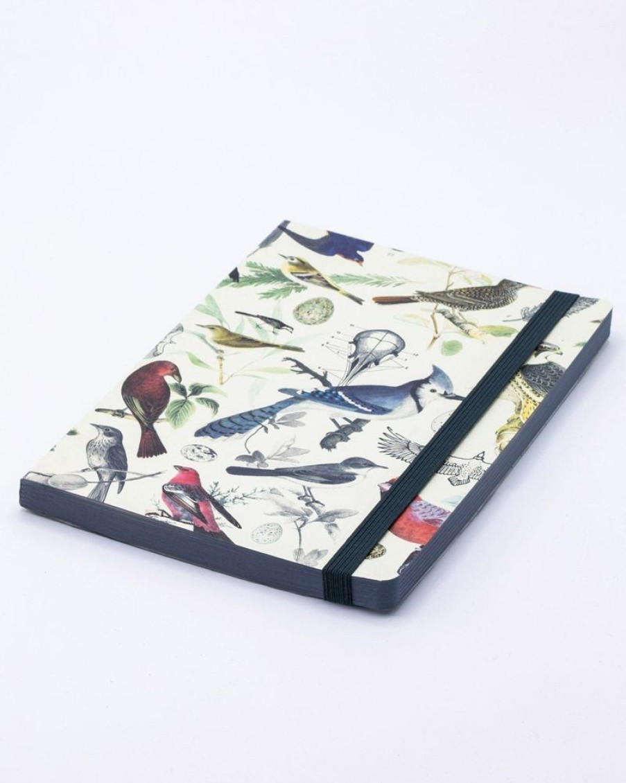 Notebooks Cognitive Surplus | Birds & Feathers A5 Notebook - Dotted Lines - Ornithology | Cognitive Surplus