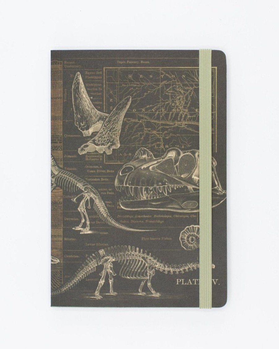 Notebooks Cognitive Surplus | Dinosaur Bones A5 Notebook - Paleontology - Dotted Lines | Cognitive Surplus