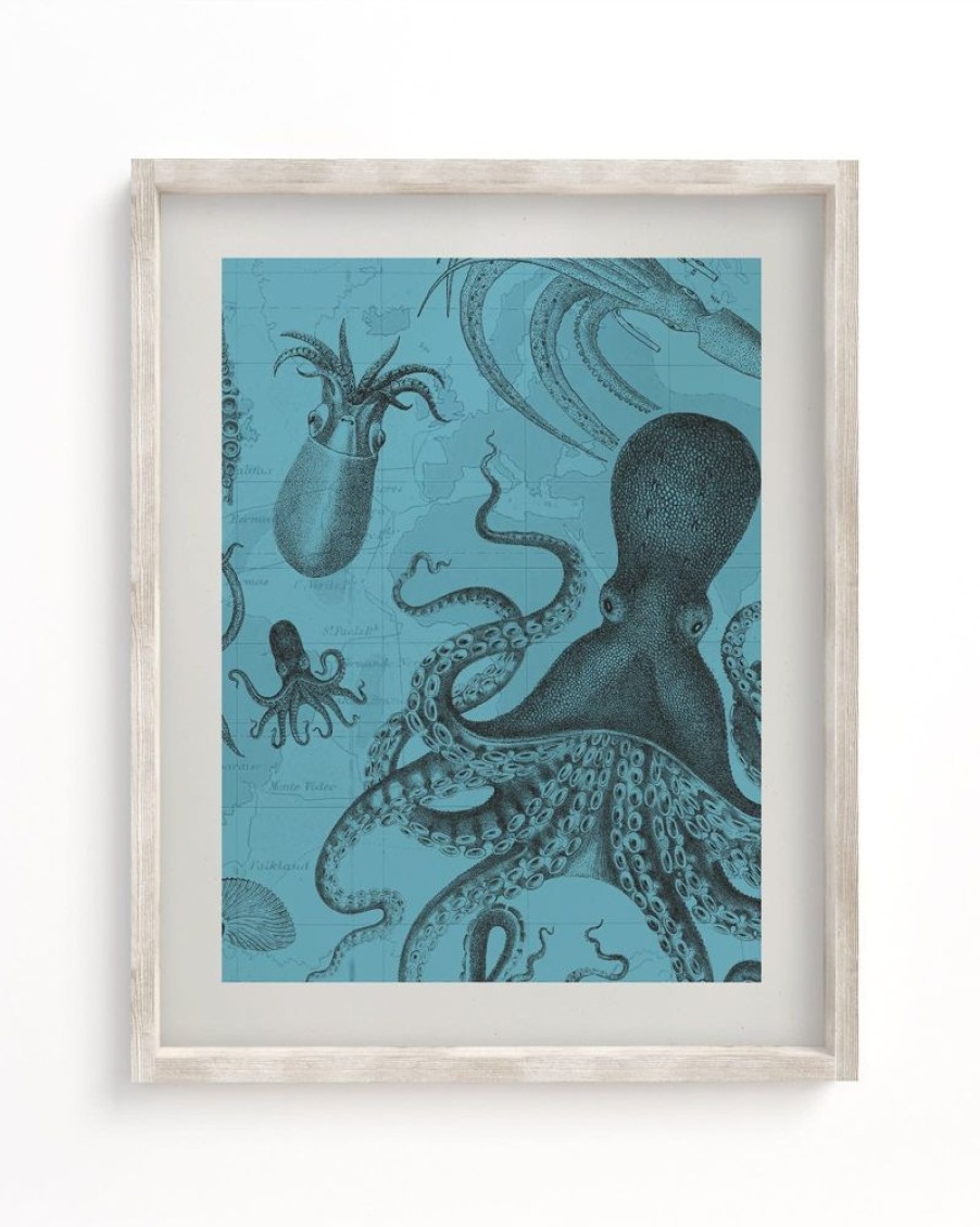 Wall Art Cognitive Surplus | Octopus & Squid Scientific Illustration Museum Print