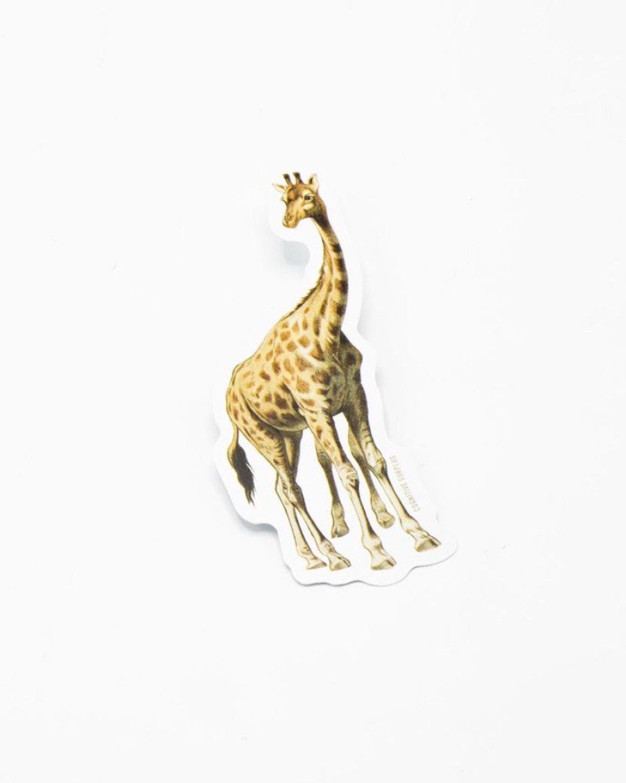 Stationery Cognitive Surplus | Giraffe Sticker