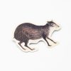 Stationery Cognitive Surplus | Agouti Sticker