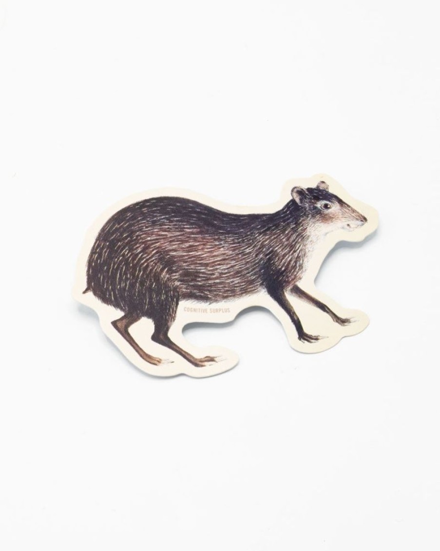 Stationery Cognitive Surplus | Agouti Sticker