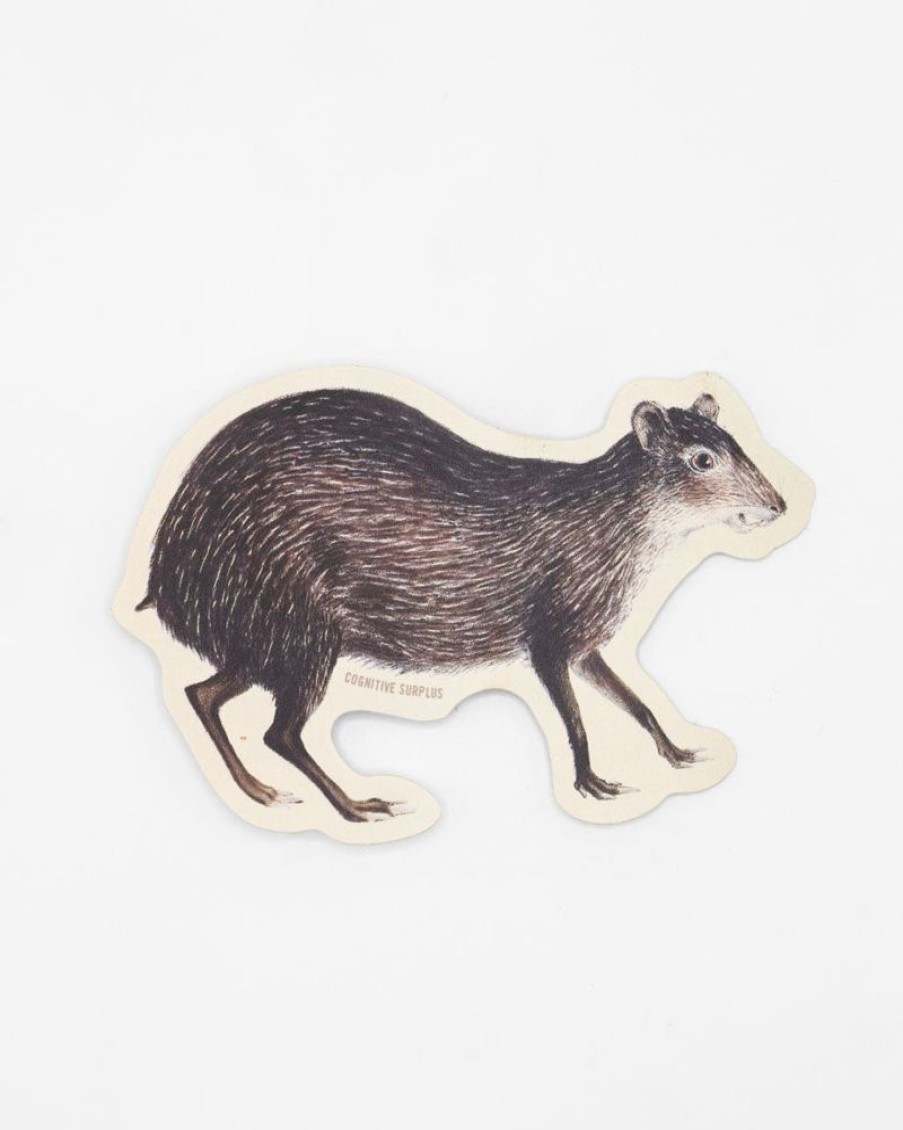 Stationery Cognitive Surplus | Agouti Sticker