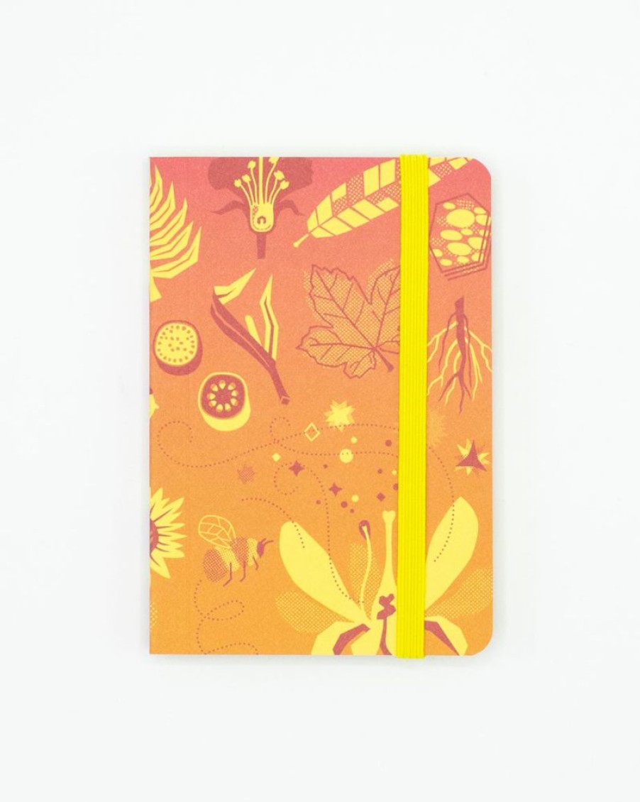 Notebooks Cognitive Surplus | Retro Botany Observation Softcover