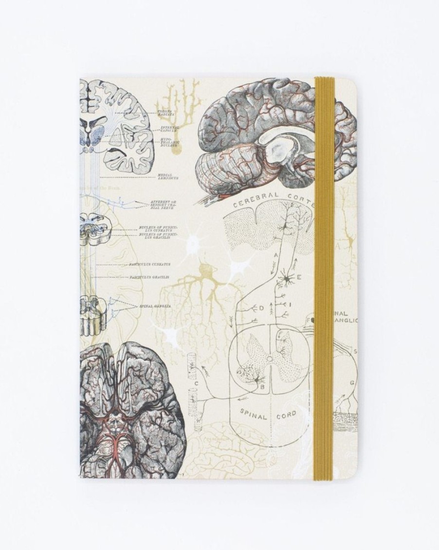 Notebooks Cognitive Surplus | Brain & Neurology A5 Softcover Notebook - Dotted Lines | Cognitive Surplus