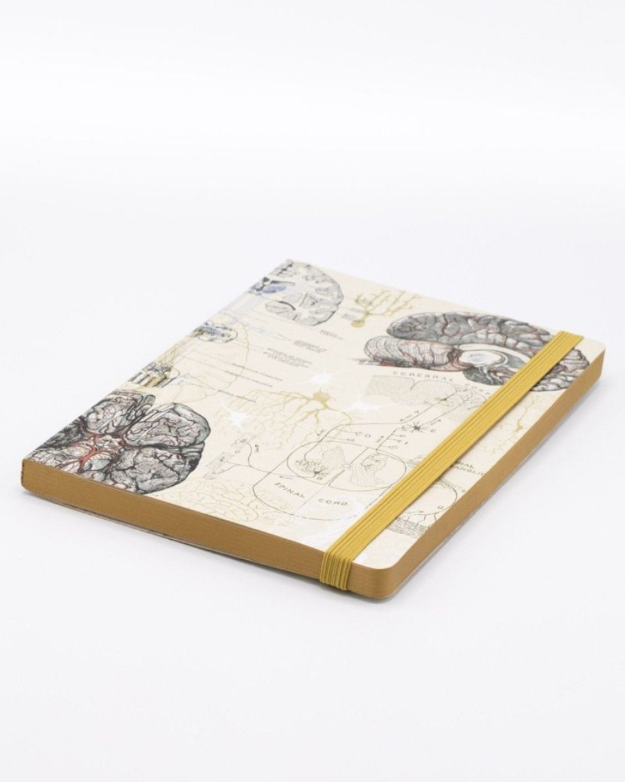 Notebooks Cognitive Surplus | Brain & Neurology A5 Softcover Notebook - Dotted Lines | Cognitive Surplus