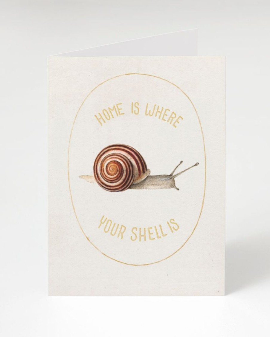 Stationery Cognitive Surplus | Home Is Where Your Shell Is | Cognitive Surplus