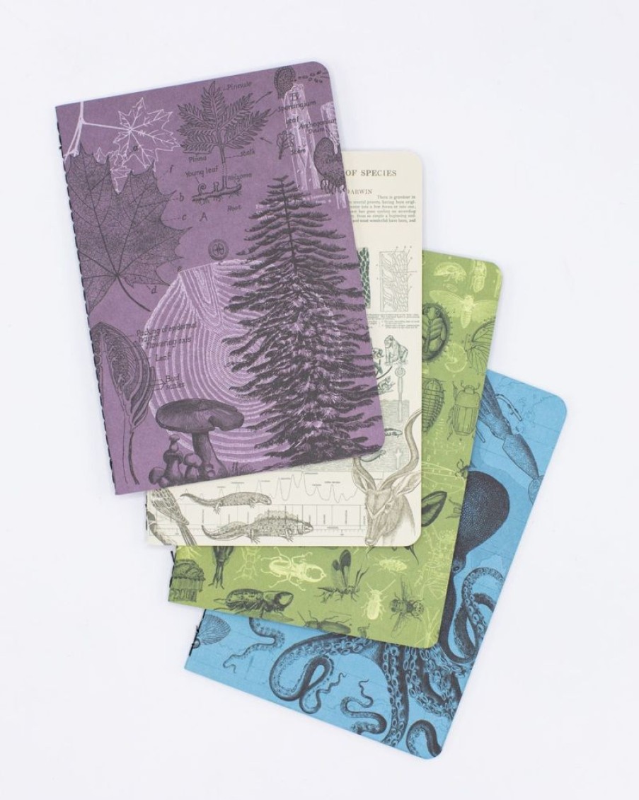 Notebooks Cognitive Surplus | Natural Science Pocket Notebooks Set Of 4 | Insect Print