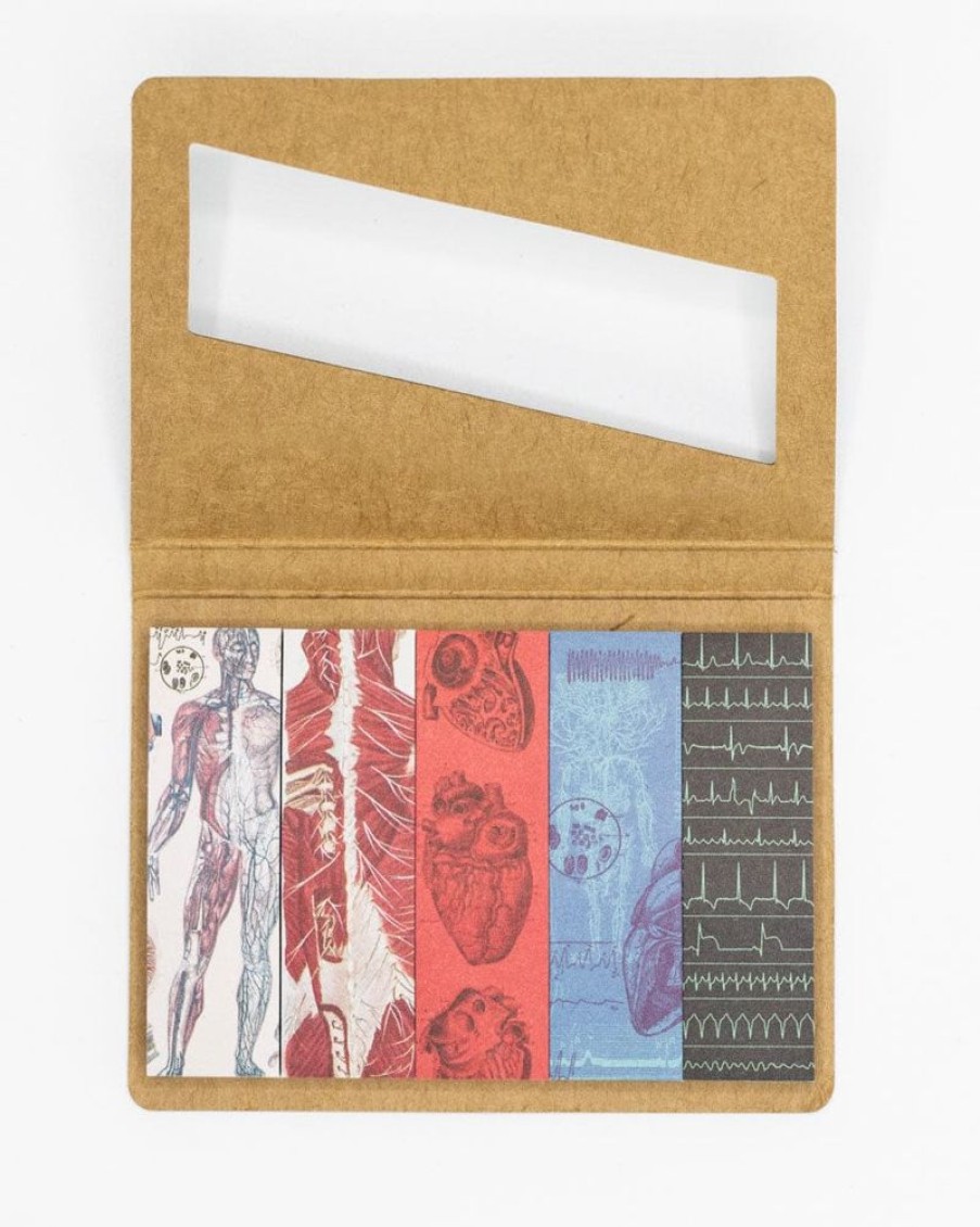 Stationery Cognitive Surplus | Anatomy Page Flags