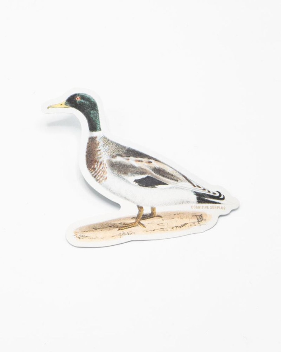 Stationery Cognitive Surplus | Mallard Sticker