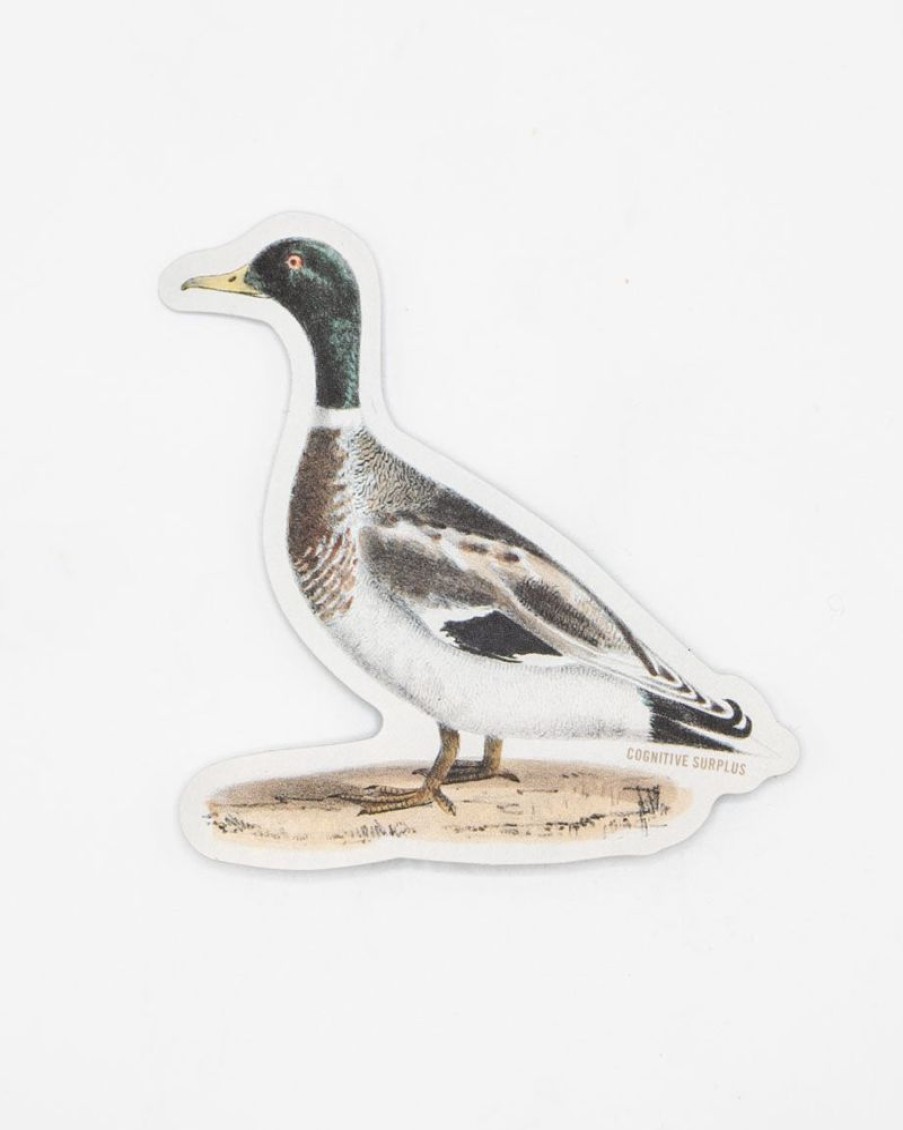 Stationery Cognitive Surplus | Mallard Sticker