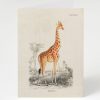 Stationery Cognitive Surplus | Giraffe Greeting Card - Science Stationery | Cognitive Surplus