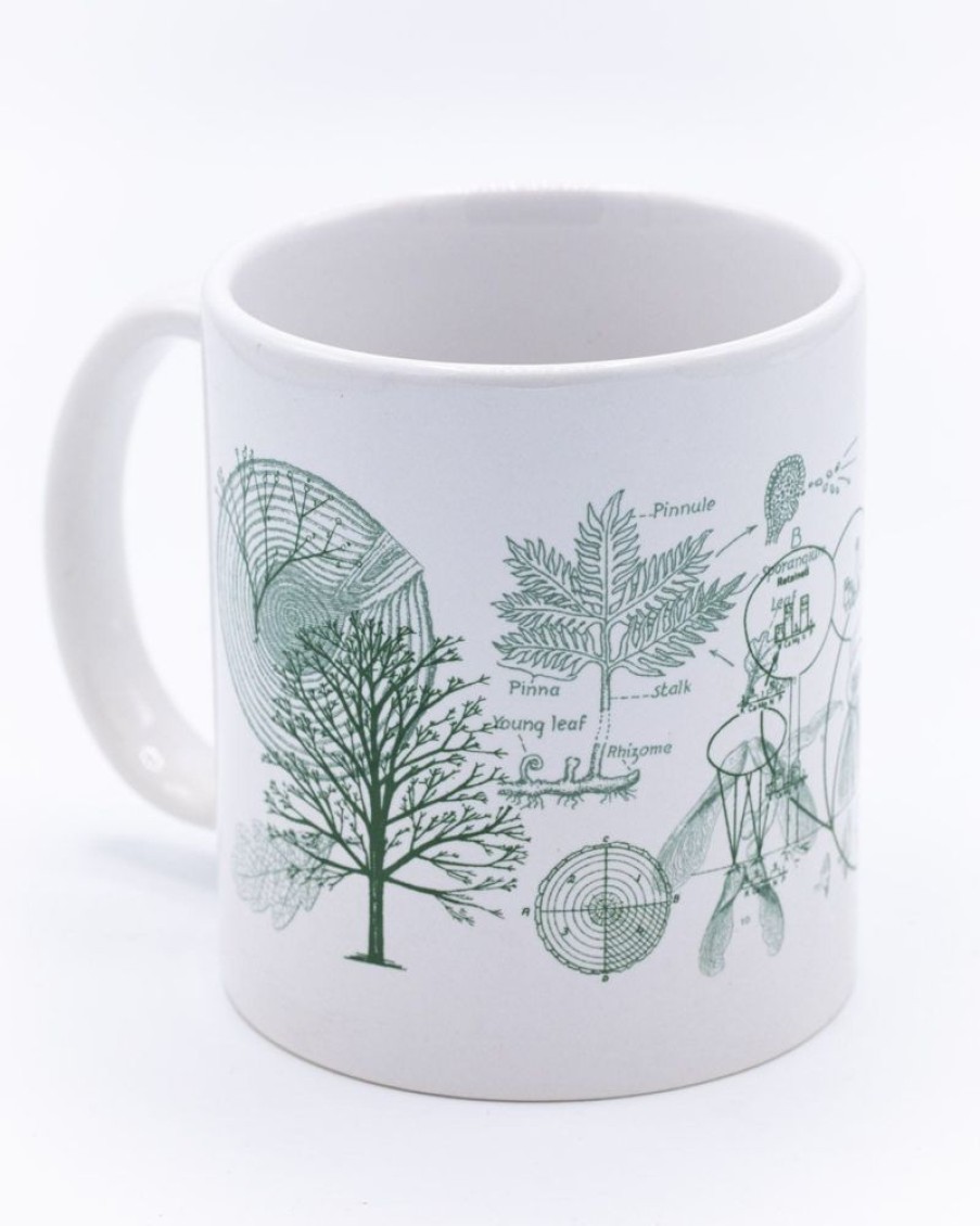 Kitchen + Bar Cognitive Surplus | Forest Mug 20 Oz | Botanical Print Science Mug