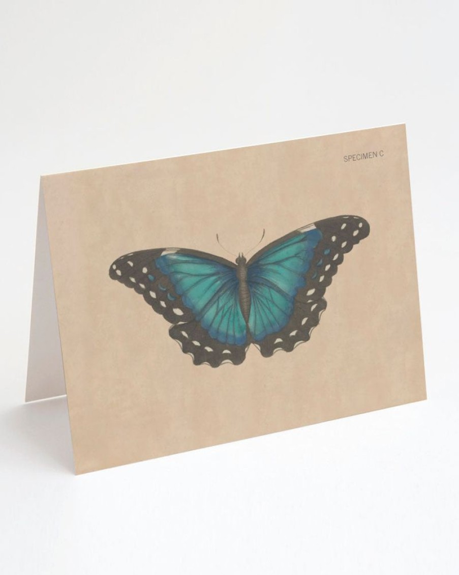 Stationery Cognitive Surplus | Butterfly Greeting Card - Science Stationery | Cognitive Surplus