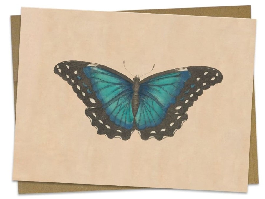 Stationery Cognitive Surplus | Butterfly Greeting Card - Science Stationery | Cognitive Surplus