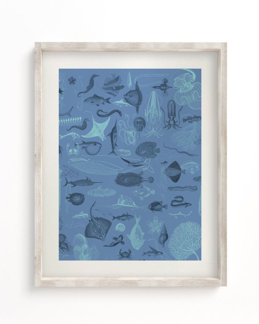 Wall Art Cognitive Surplus | Marine Biology Scientific Illustration Museum Print