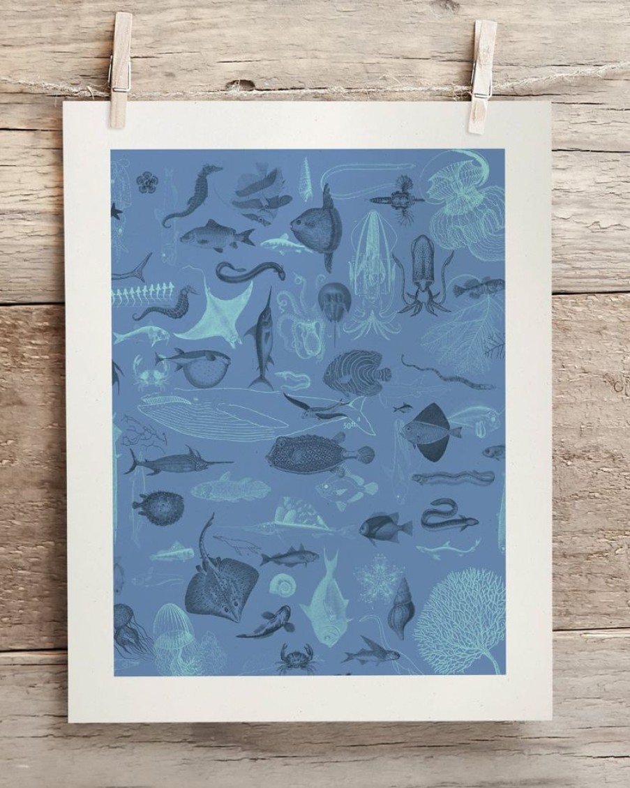 Wall Art Cognitive Surplus | Marine Biology Scientific Illustration Museum Print