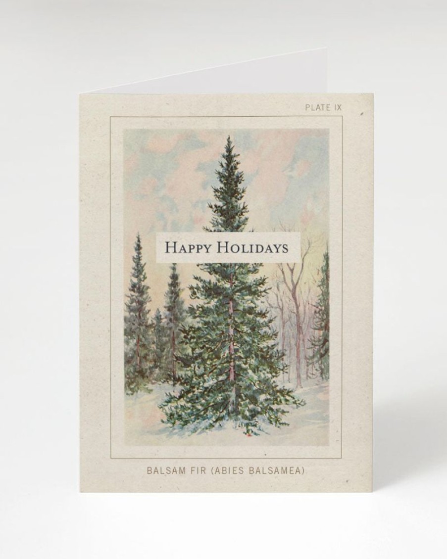 Stationery Cognitive Surplus | Balsam Fir Happy Holidays Card - Christmas Card | Cognitive Surplus