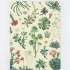 Notebooks Cognitive Surplus | Succulents Hardcover - Blank