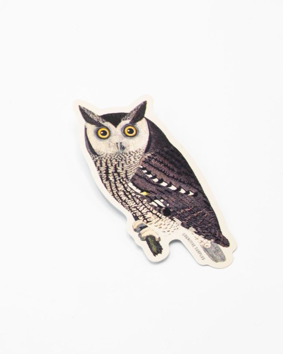 Stationery Cognitive Surplus | Mottled Owl Sticker