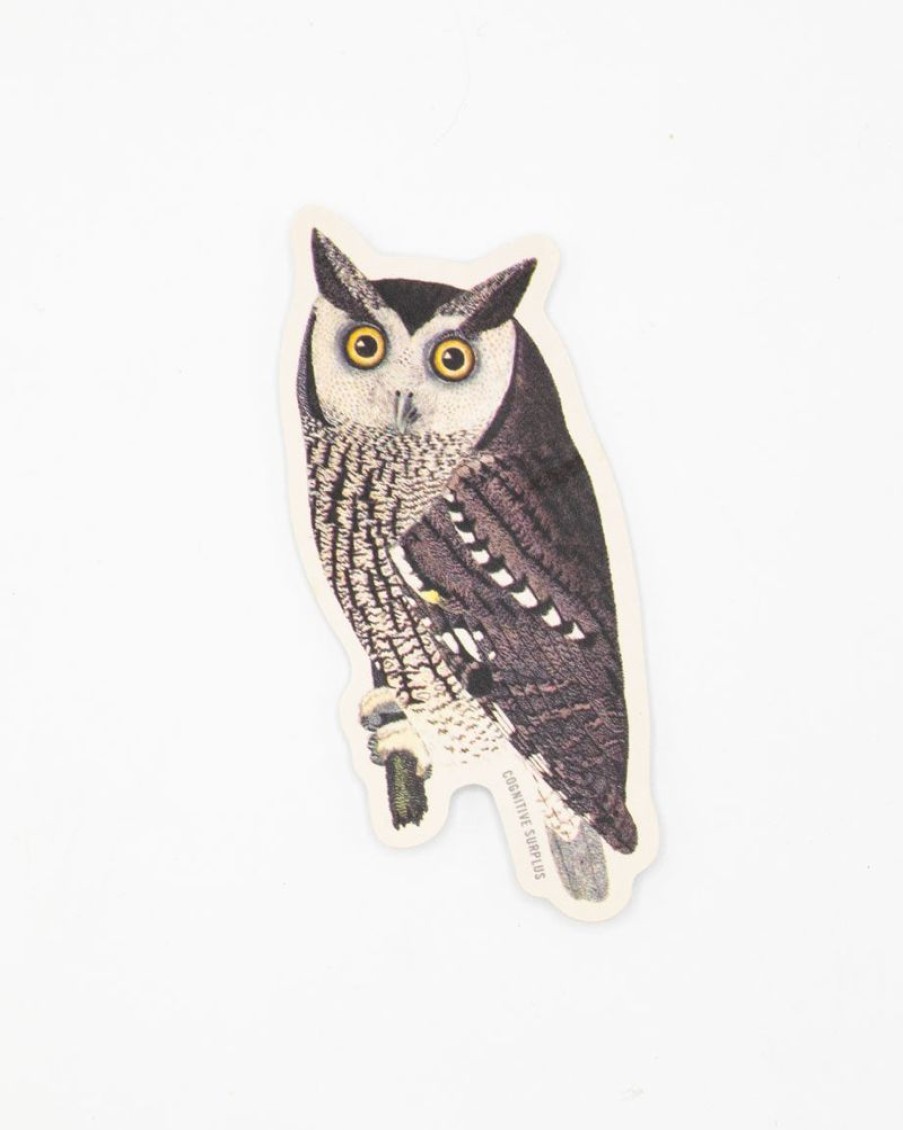 Stationery Cognitive Surplus | Mottled Owl Sticker