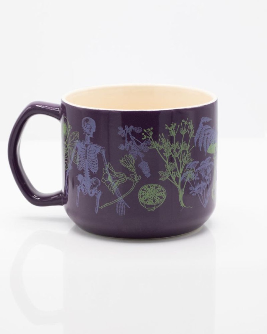 Kitchen + Bar Cognitive Surplus | Poisonous Plants Mug - Botany Mug | Cognitive Surplus