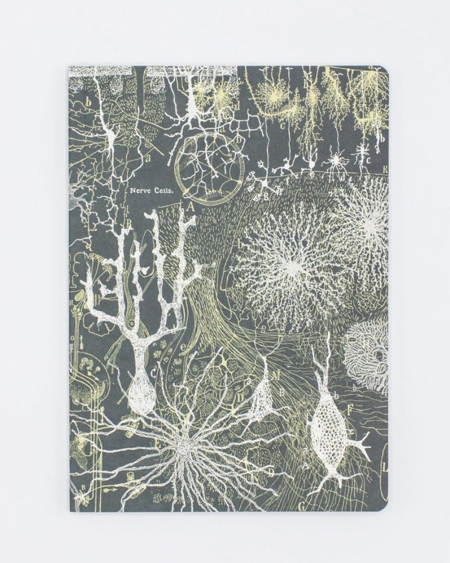 Notebooks Cognitive Surplus | Neuron Softcover Notebook | Brain Notebook