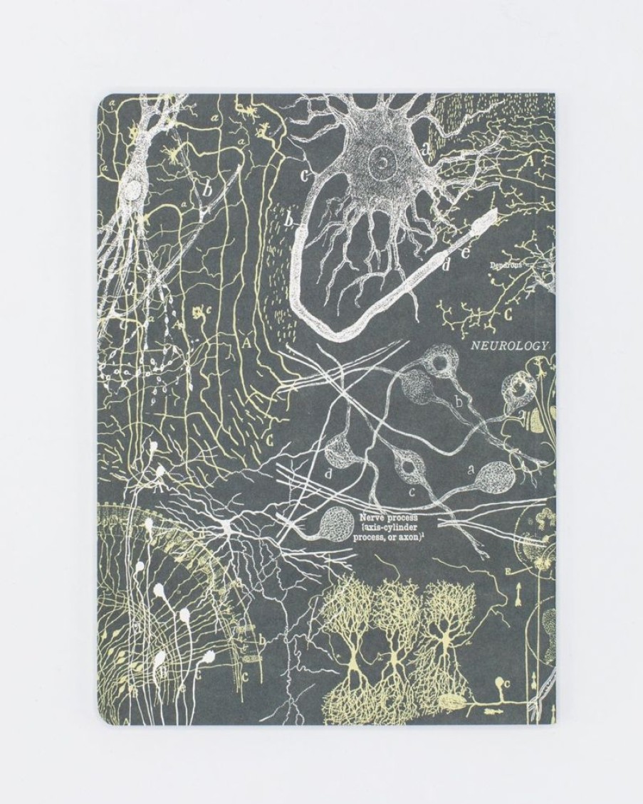 Notebooks Cognitive Surplus | Neuron Softcover Notebook | Brain Notebook