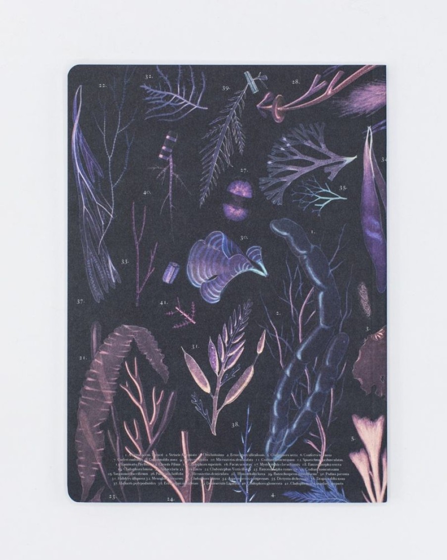 Notebooks Cognitive Surplus | Octopus Print Softcover Notebook | Recycled Notebook