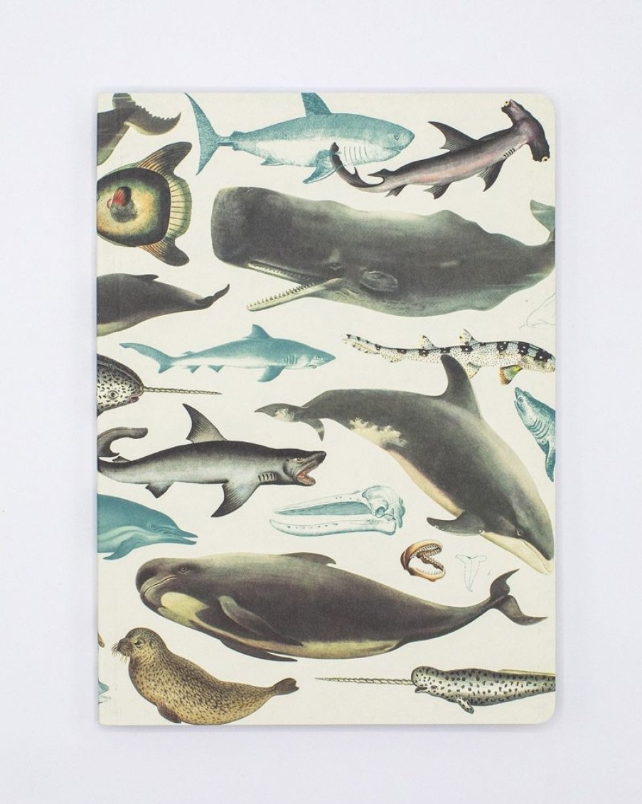 Notebooks Cognitive Surplus | Whales & Seals Softcover Notebook | Recycled Notebook