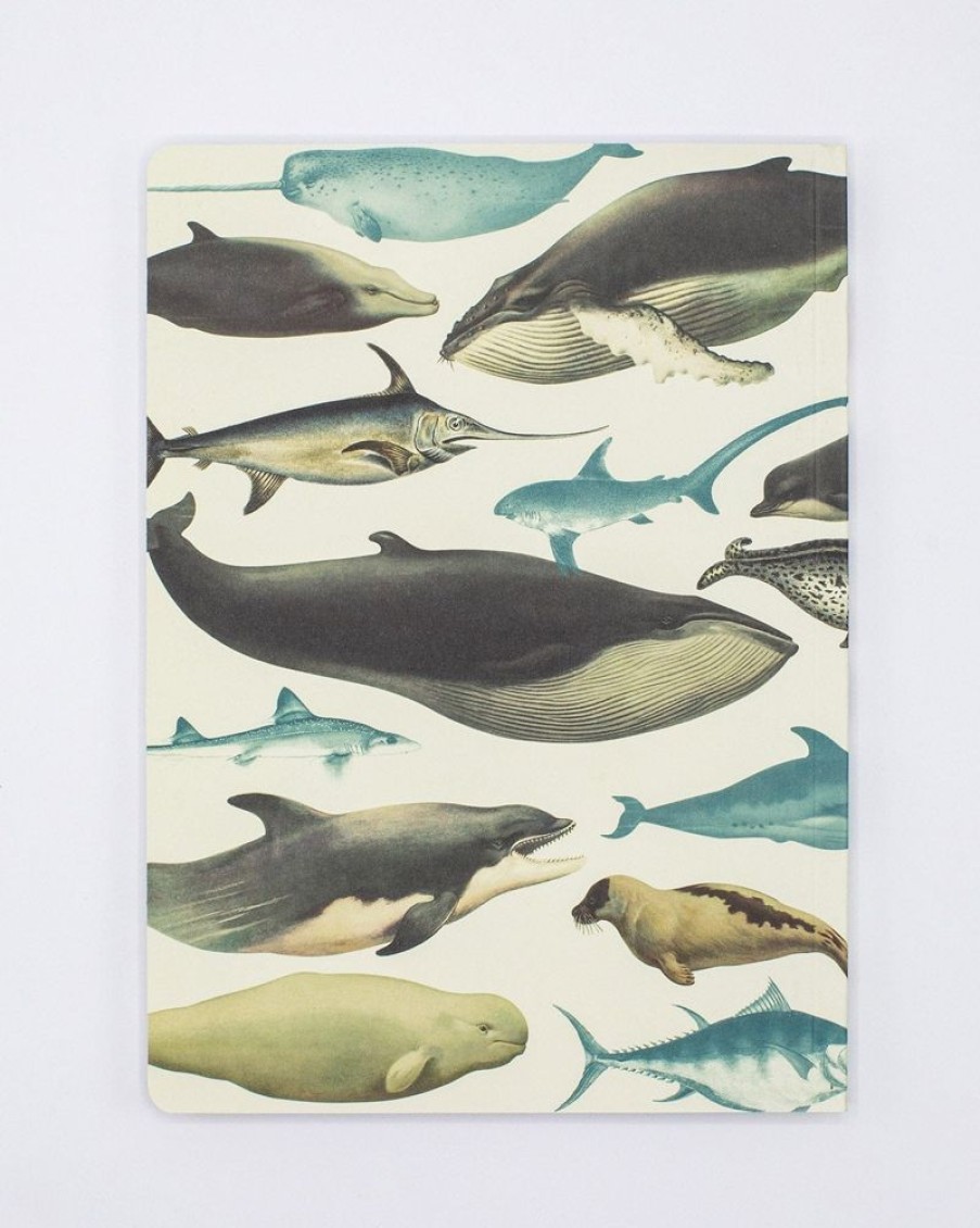 Notebooks Cognitive Surplus | Whales & Seals Softcover Notebook | Recycled Notebook