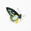 Stationery Cognitive Surplus | Papilio Butterfly Sticker