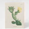 Stationery Cognitive Surplus | Prickly Pear Cactus Card - Science Stationery | Cognitive Surplus