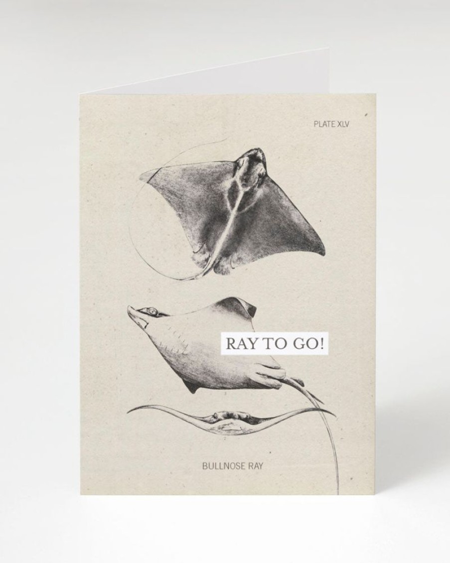 Stationery Cognitive Surplus | Ray To Go! Ocean Congratulations Card | Cognitive Surplus