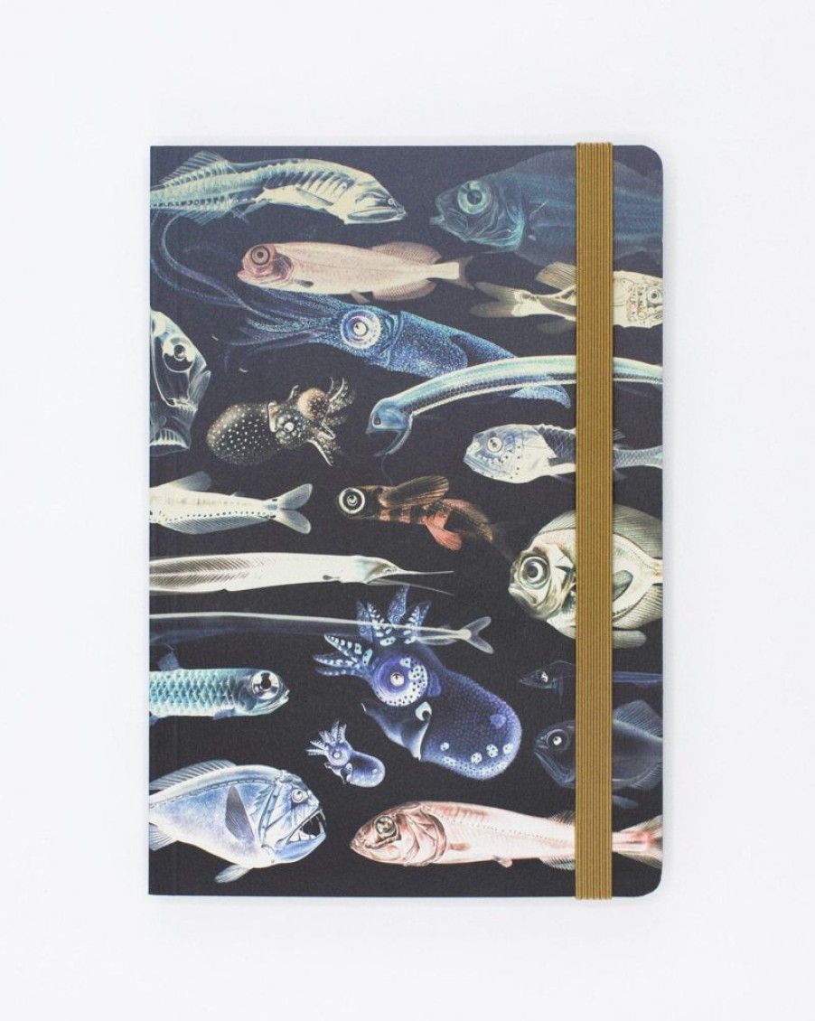 Notebooks Cognitive Surplus | Deep Sea A5 Notebook - Marine Biology | Cognitive Surplus