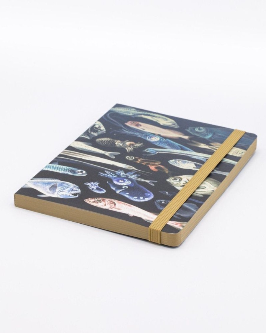 Notebooks Cognitive Surplus | Deep Sea A5 Notebook - Marine Biology | Cognitive Surplus