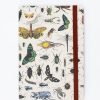 Notebooks Cognitive Surplus | Butterflies & Beetles A5 Softcover Notebook - Dotted Lines | Cognitive Surplus