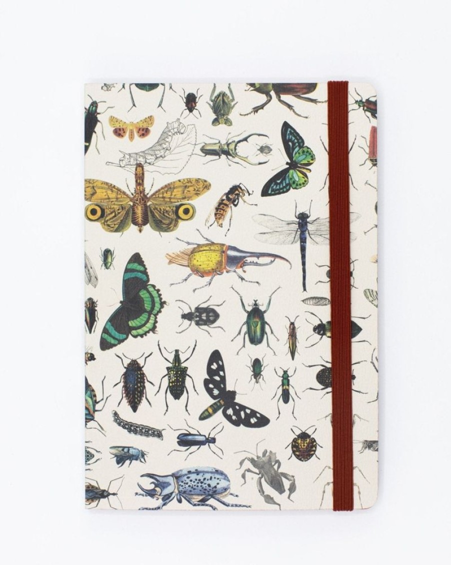 Notebooks Cognitive Surplus | Butterflies & Beetles A5 Softcover Notebook - Dotted Lines | Cognitive Surplus