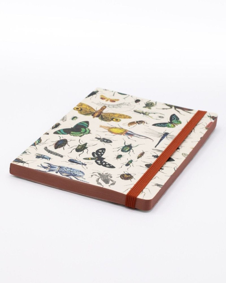 Notebooks Cognitive Surplus | Butterflies & Beetles A5 Softcover Notebook - Dotted Lines | Cognitive Surplus