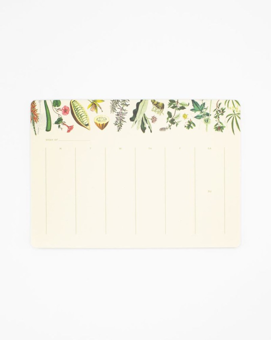 Stationery Cognitive Surplus | Medicinal Botany Notepads - Herbal Pharmacy Market Pad | Cognitive Surplus