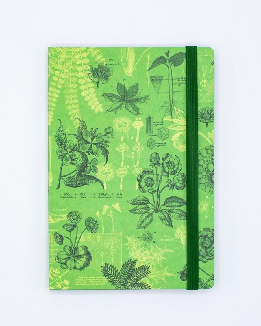 Notebooks Cognitive Surplus | Botany A5 Notebook - Dotted Lines - Plant Lover Gift | Cognitive Surplus