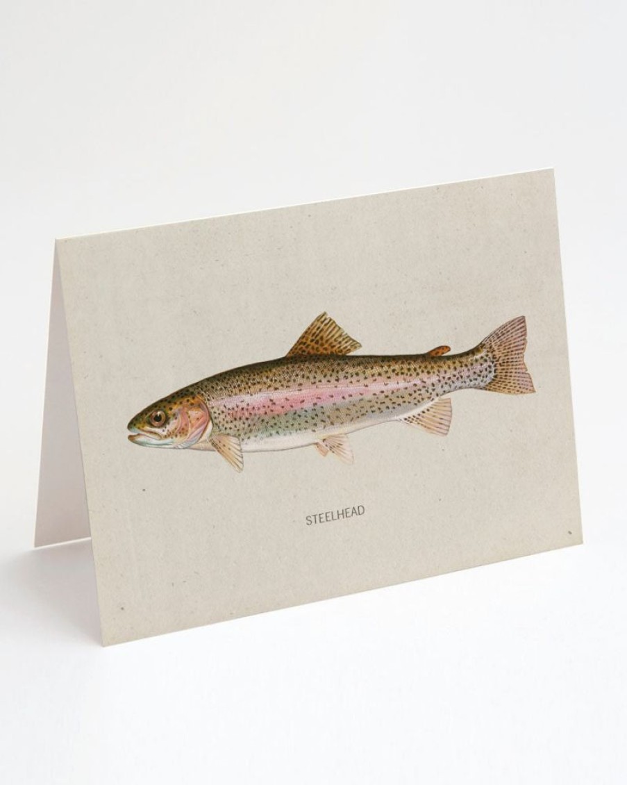 Stationery Cognitive Surplus | Steelhead Trout Greeting Card - Fisherman Card | Cognitive Surplus