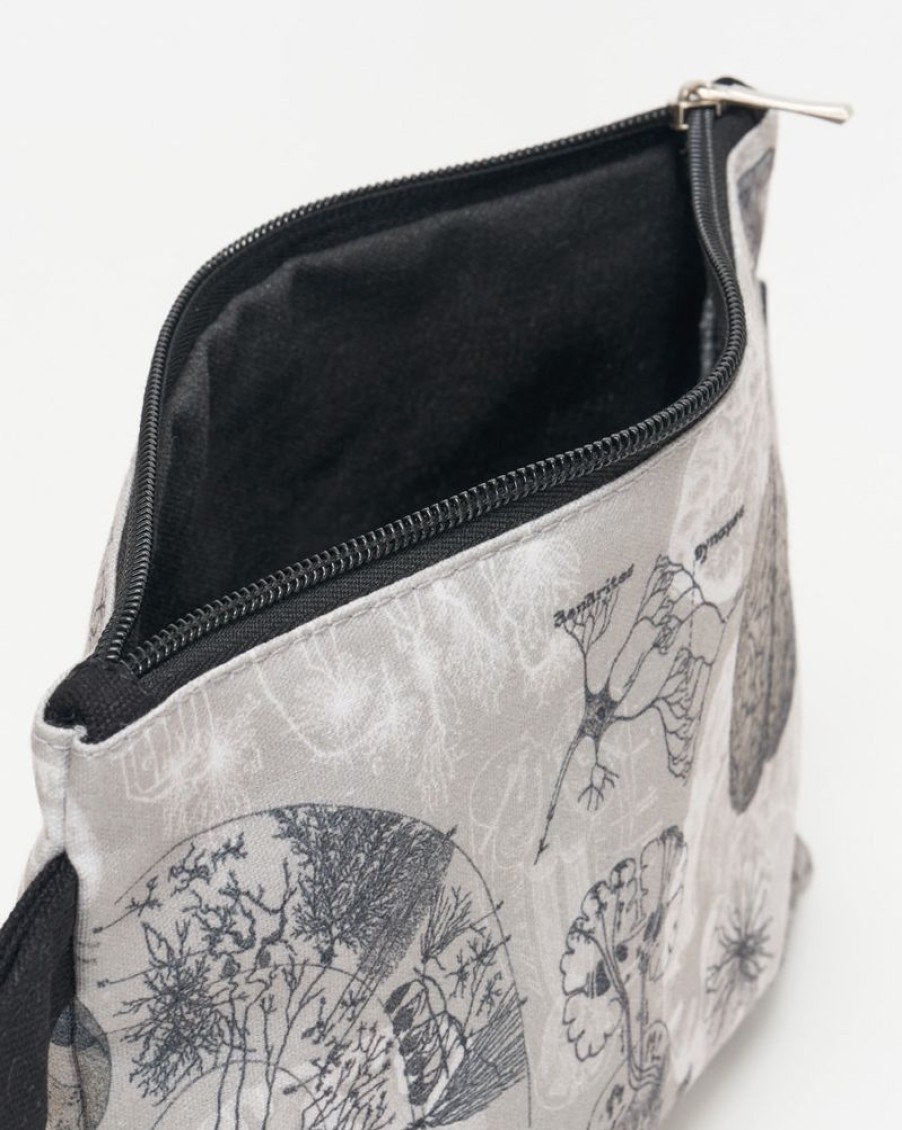 Bags Cognitive Surplus | Brain Anatomy Pencil Bag